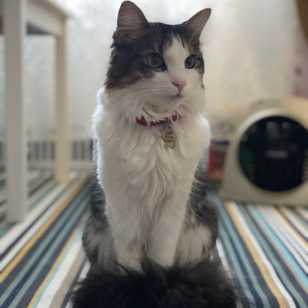 Meet your Posher, Asyl